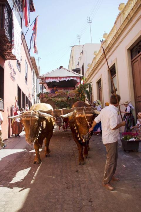 Hotel Rural Orotava La Orotava Ngoại thất bức ảnh